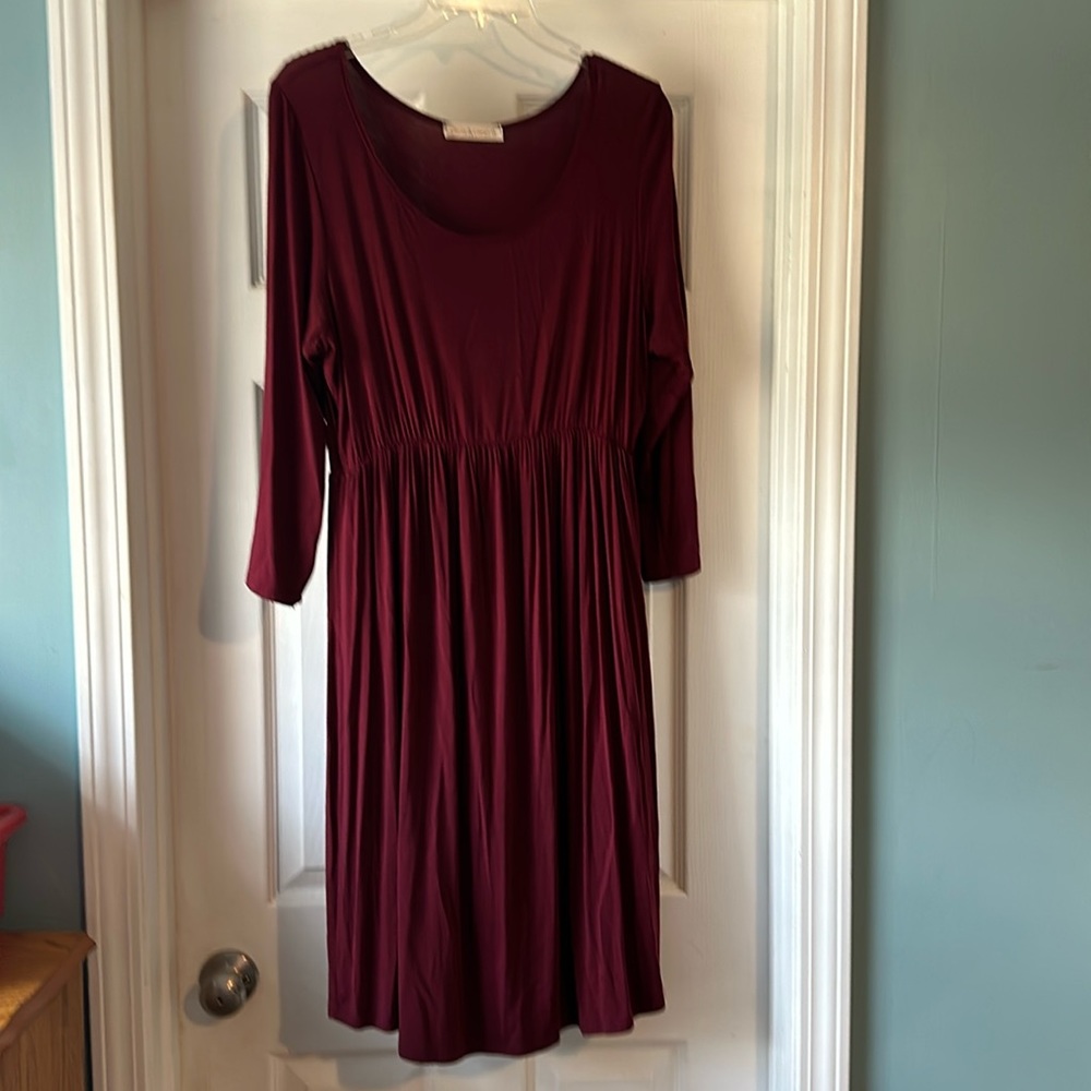 NWOT Chris & Carol midi dress
